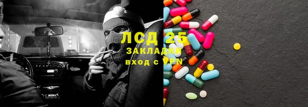 крисы Алексин