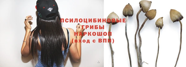 крисы Алексин