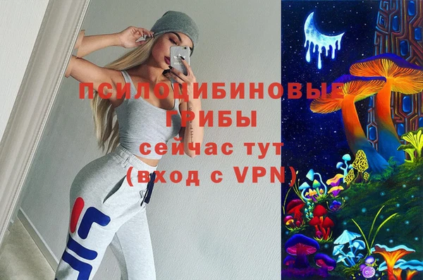 спайс Алзамай