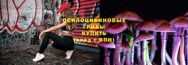 спайс Алзамай