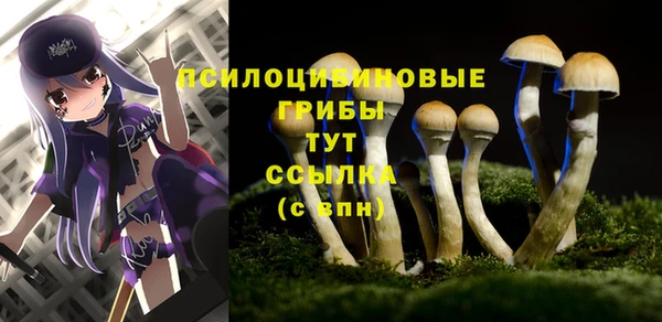 крисы Алексин