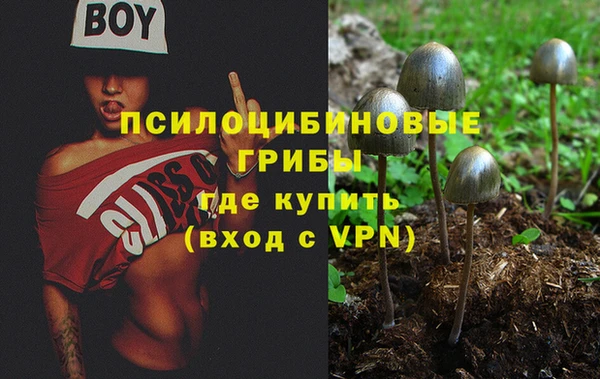 спайс Алзамай